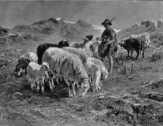 Historisches Gemälde in schwarz-weiß mit einem Hirten mit Schafen in den Bergen