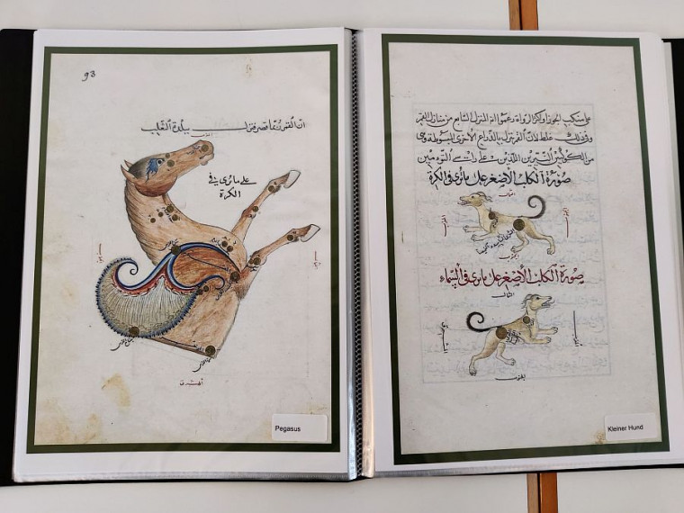 Pegasus und Kleiner Hund in arabischer Darstellung