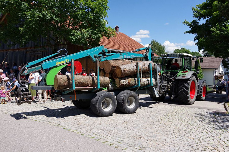 Aktionstag 2008 - Holzverarbeitung fr&uuml;her und heute - R&uuml;ckewagen